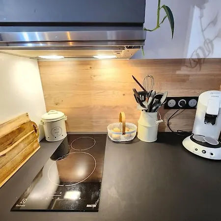 Le Garden Champ'- Duplex, Jardin Appartamento Épernay