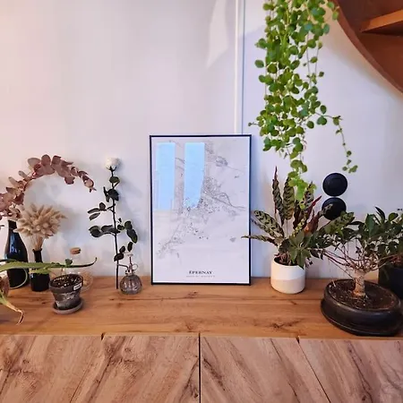 Le Garden Champ'- Duplex, Jardin *